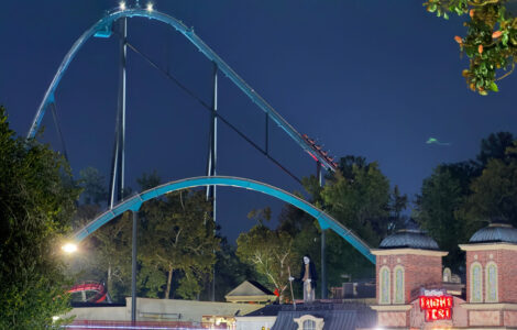 Roller Coaster Death